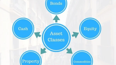 schedule-of-assets